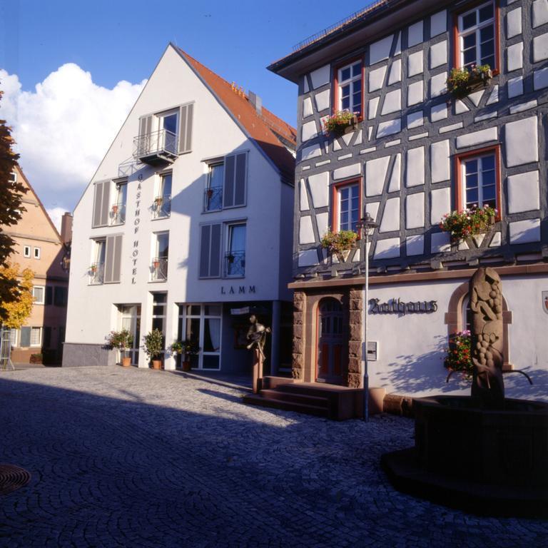 Landidyll Hotel Lamm Vaihingen an der Enz Exterior foto